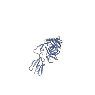 27763_8dww_P_v1-0
Chikungunya VLP in complex with neutralizing Fab 506.A08 (asymmetric unit)