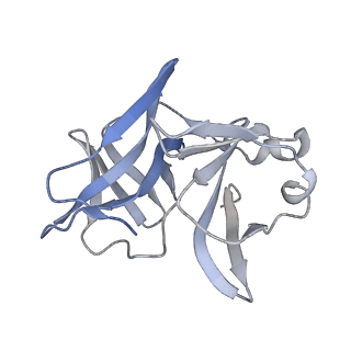 27763_8dww_Q_v1-0
Chikungunya VLP in complex with neutralizing Fab 506.A08 (asymmetric unit)