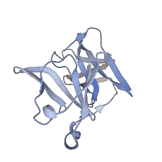 27763_8dww_R_v1-0
Chikungunya VLP in complex with neutralizing Fab 506.A08 (asymmetric unit)