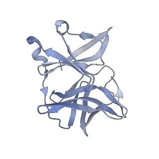 27763_8dww_S_v1-0
Chikungunya VLP in complex with neutralizing Fab 506.A08 (asymmetric unit)