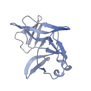 27763_8dww_T_v1-0
Chikungunya VLP in complex with neutralizing Fab 506.A08 (asymmetric unit)