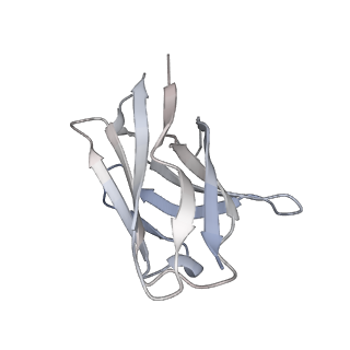 27763_8dww_X_v1-0
Chikungunya VLP in complex with neutralizing Fab 506.A08 (asymmetric unit)