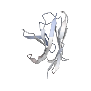 27763_8dww_Z_v1-0
Chikungunya VLP in complex with neutralizing Fab 506.A08 (asymmetric unit)