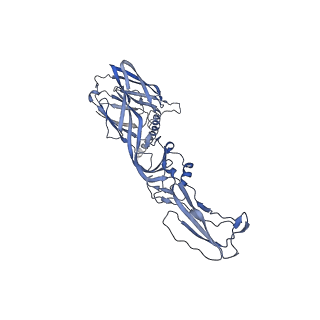 27765_8dwx_A_v1-0
Chikungunya VLP in complex with neutralizing Fab 506.C01 (asymmetric unit)