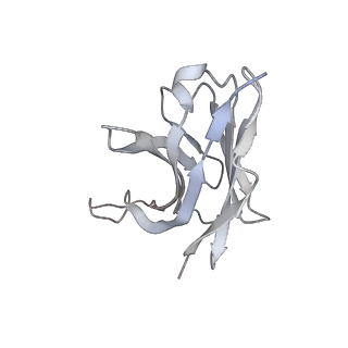 27765_8dwx_H_v1-0
Chikungunya VLP in complex with neutralizing Fab 506.C01 (asymmetric unit)