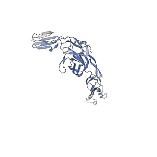 27765_8dwx_N_v1-0
Chikungunya VLP in complex with neutralizing Fab 506.C01 (asymmetric unit)