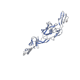 27765_8dwx_O_v1-0
Chikungunya VLP in complex with neutralizing Fab 506.C01 (asymmetric unit)