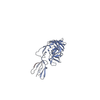 27765_8dwx_P_v1-0
Chikungunya VLP in complex with neutralizing Fab 506.C01 (asymmetric unit)