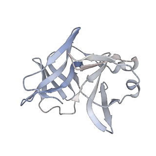 27765_8dwx_Q_v1-0
Chikungunya VLP in complex with neutralizing Fab 506.C01 (asymmetric unit)