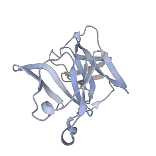27765_8dwx_R_v1-0
Chikungunya VLP in complex with neutralizing Fab 506.C01 (asymmetric unit)