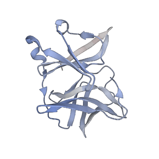 27765_8dwx_S_v1-0
Chikungunya VLP in complex with neutralizing Fab 506.C01 (asymmetric unit)