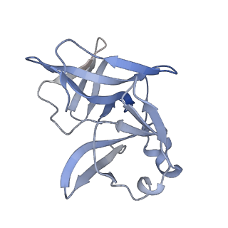 27765_8dwx_T_v1-0
Chikungunya VLP in complex with neutralizing Fab 506.C01 (asymmetric unit)