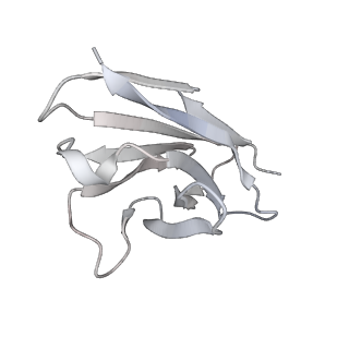 27765_8dwx_W_v1-0
Chikungunya VLP in complex with neutralizing Fab 506.C01 (asymmetric unit)