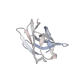 27765_8dwx_Z_v1-0
Chikungunya VLP in complex with neutralizing Fab 506.C01 (asymmetric unit)