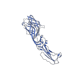 27767_8dwy_A_v1-0
Chikungunya VLP in complex with neutralizing Fab CHK-265 (asymmetric unit)