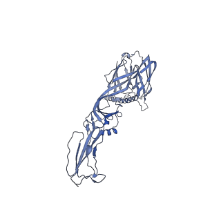 27767_8dwy_D_v1-0
Chikungunya VLP in complex with neutralizing Fab CHK-265 (asymmetric unit)