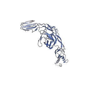 27767_8dwy_N_v1-0
Chikungunya VLP in complex with neutralizing Fab CHK-265 (asymmetric unit)