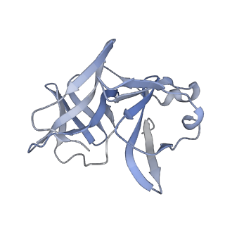 27767_8dwy_Q_v1-0
Chikungunya VLP in complex with neutralizing Fab CHK-265 (asymmetric unit)