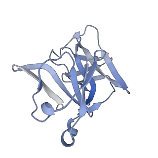 27767_8dwy_R_v1-0
Chikungunya VLP in complex with neutralizing Fab CHK-265 (asymmetric unit)