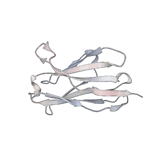 27767_8dwy_V_v1-0
Chikungunya VLP in complex with neutralizing Fab CHK-265 (asymmetric unit)