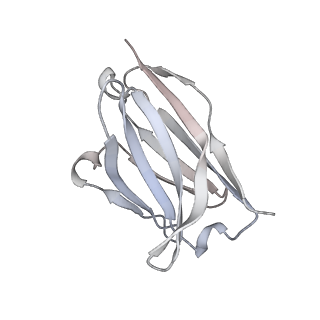 27767_8dwy_Z_v1-0
Chikungunya VLP in complex with neutralizing Fab CHK-265 (asymmetric unit)