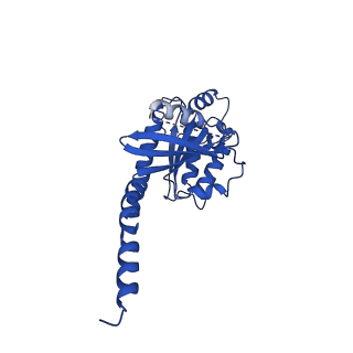 30877_7dw9_A_v1-1
Cryo-EM structure of human V2 vasopressin receptor in complex with an Gs protein