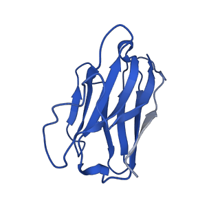 30877_7dw9_N_v1-1
Cryo-EM structure of human V2 vasopressin receptor in complex with an Gs protein