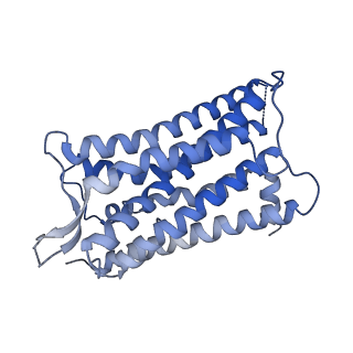 30877_7dw9_R_v1-1
Cryo-EM structure of human V2 vasopressin receptor in complex with an Gs protein