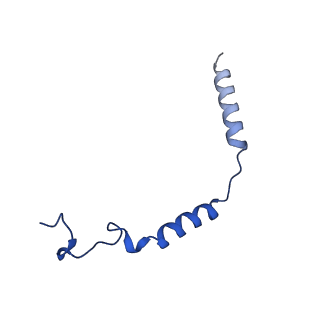 30877_7dw9_Y_v1-1
Cryo-EM structure of human V2 vasopressin receptor in complex with an Gs protein