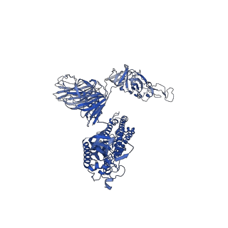 30889_7dwy_A_v1-1
S protein of SARS-CoV-2 in the locked conformation