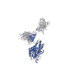 30890_7dwz_A_v1-1
S protein of SARS-CoV-2 in the active conformation