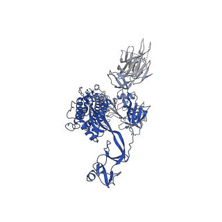 30890_7dwz_B_v1-1
S protein of SARS-CoV-2 in the active conformation