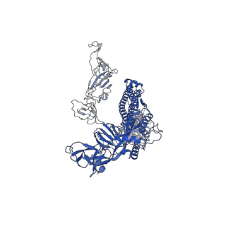 30890_7dwz_C_v1-1
S protein of SARS-CoV-2 in the active conformation