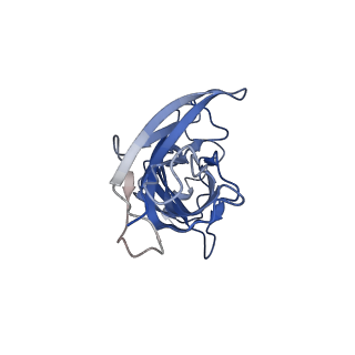 8923_6dw1_D_v1-1
Cryo-EM structure of the benzodiazepine-sensitive alpha1beta1gamma2S tri-heteromeric GABAA receptor in complex with GABA (ECD map)