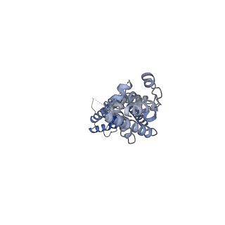 27770_8dxn_B_v1-0
Structure of LRRC8C-LRRC8A(IL125) Chimera, Class 1