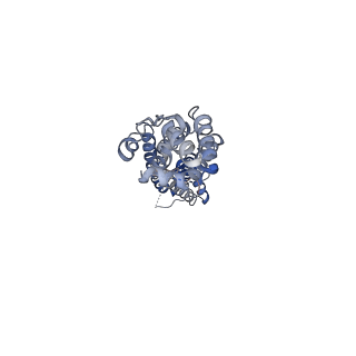 27770_8dxn_D_v1-0
Structure of LRRC8C-LRRC8A(IL125) Chimera, Class 1