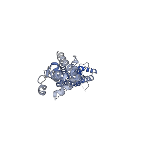 27771_8dxo_E_v1-0
Structure of LRRC8C-LRRC8A(IL125) Chimera, Class 2