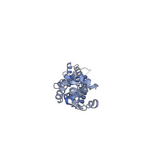27771_8dxo_G_v1-0
Structure of LRRC8C-LRRC8A(IL125) Chimera, Class 2