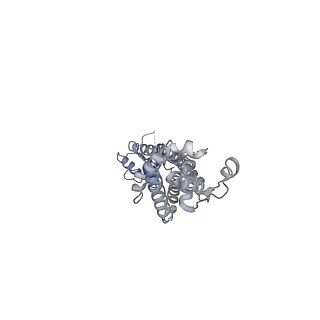 27772_8dxp_A_v1-0
Structure of LRRC8C-LRRC8A(IL125) Chimera, Class 3