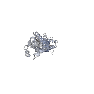 27773_8dxq_E_v1-0
Structure of LRRC8C-LRRC8A(IL125) Chimera, Class 4