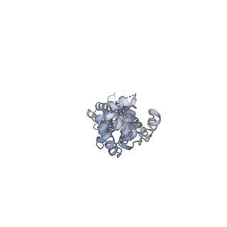 27774_8dxr_A_v1-0
Structure of LRRC8C-LRRC8A(IL125) Chimera, Class 5