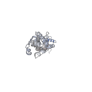 27774_8dxr_E_v1-0
Structure of LRRC8C-LRRC8A(IL125) Chimera, Class 5