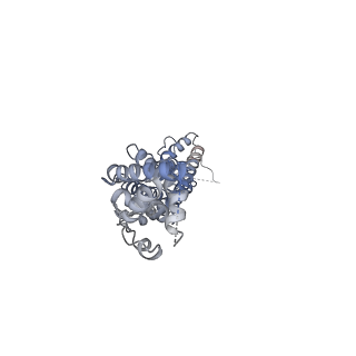 27774_8dxr_F_v1-0
Structure of LRRC8C-LRRC8A(IL125) Chimera, Class 5
