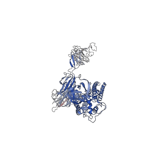 27775_8dxs_C_v1-1
Cryo-EM structure of RBD-directed neutralizing antibody P2B4 in complex with prefusion SARS-CoV-2 spike glycoprotein