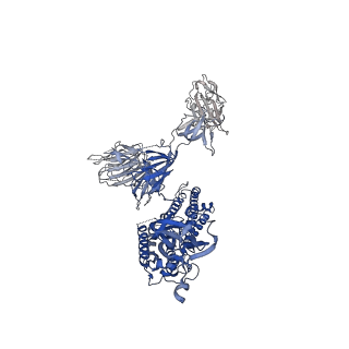 30891_7dx0_A_v1-2
Trypsin-digested S protein of SARS-CoV-2