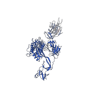 30891_7dx0_B_v1-2
Trypsin-digested S protein of SARS-CoV-2