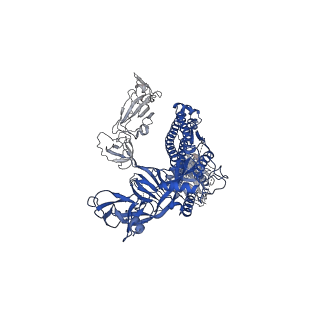 30891_7dx0_C_v1-2
Trypsin-digested S protein of SARS-CoV-2