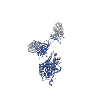 30892_7dx1_A_v1-2
S protein of SARS-CoV-2 D614G mutant