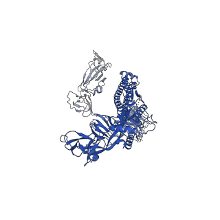 30892_7dx1_C_v1-2
S protein of SARS-CoV-2 D614G mutant