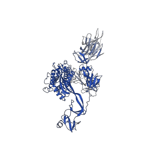 30893_7dx2_B_v1-2
Trypsin-digested S protein of SARS-CoV-2 D614G mutant